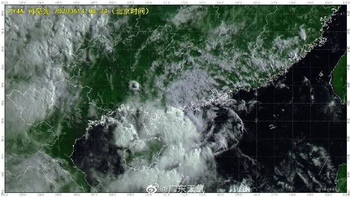 台风鹦鹉的早期动态及其潜在影响