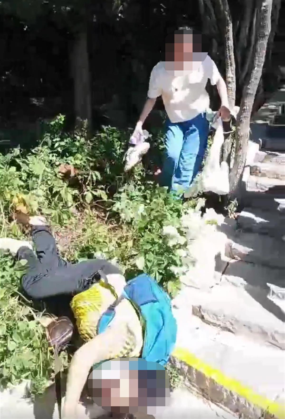 三亚景区早期状况探索