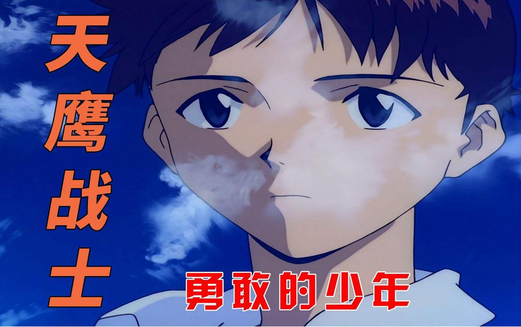 第955页