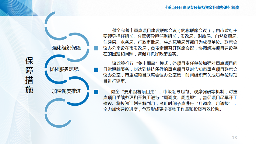 政策扶持项目诞生与发展概览