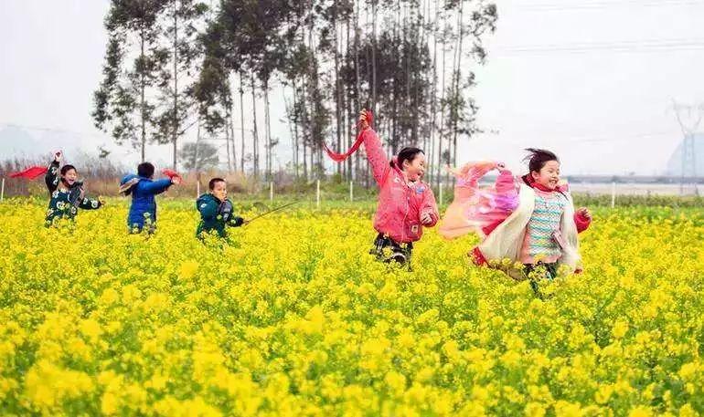 海神捕鱼，早期版本的历史背景、体验与游戏魅力探索