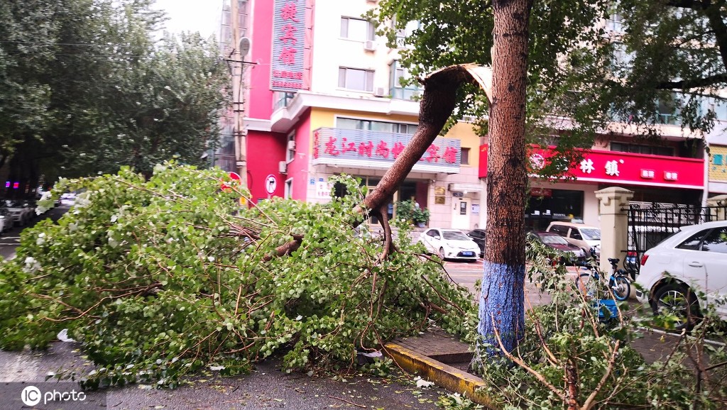 台风美莎克与哈尔滨首次交锋