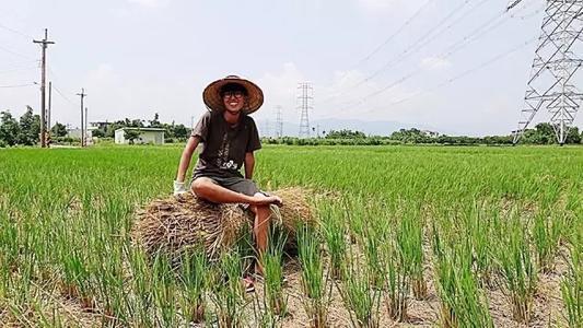 疫情风险高峰城市，挑战与应对策略
