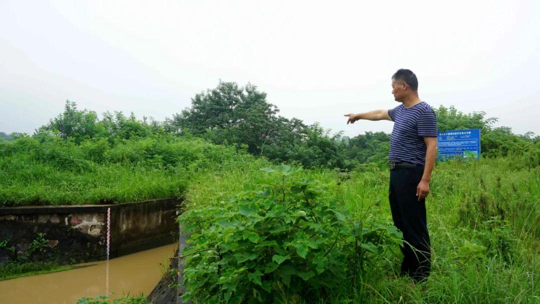 合肥水位情况揭秘，早期状况探讨