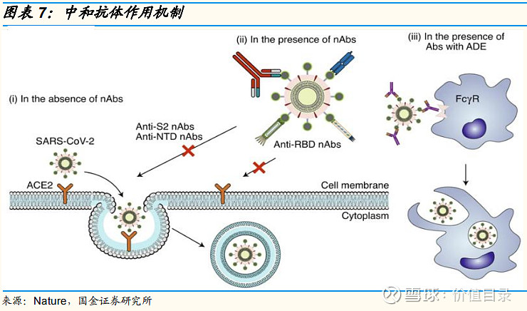 中和抗体的研究历程及其早期探索
