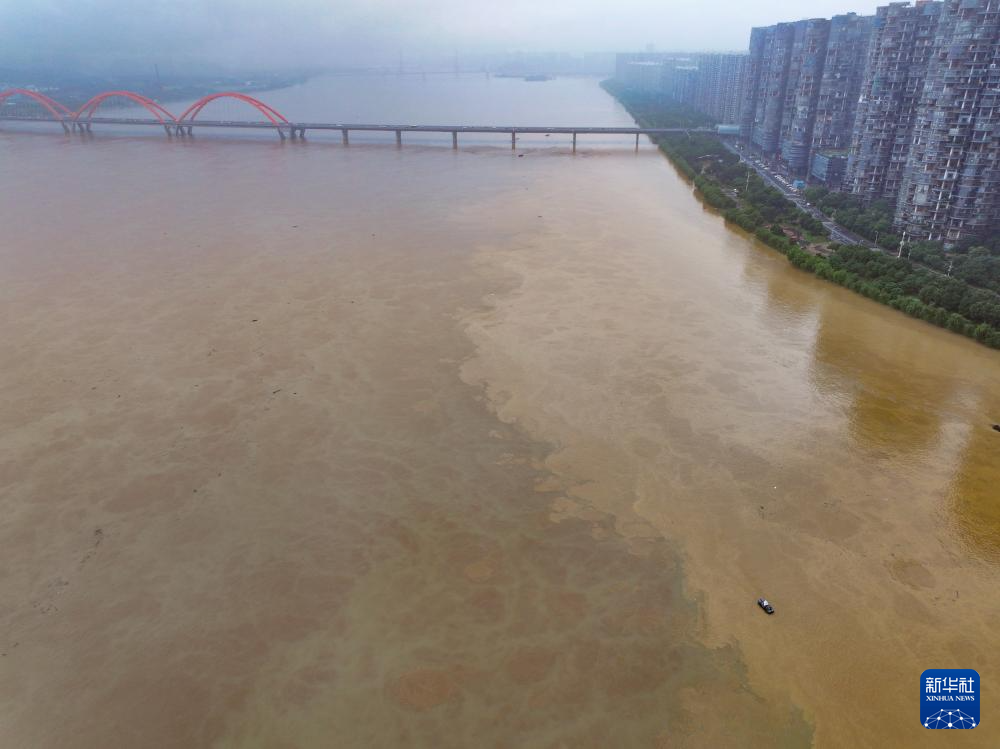 长沙洪水最早消息深度剖析
