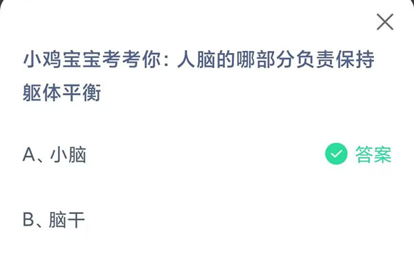 支付宝蚂蚁金融科技的先驱之旅，早期答案揭秘