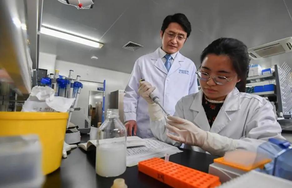 中国科技人才的历史沿革与深远影响