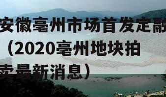 安徽亳州历史沿革与地域文化的初步探索，早期消息一览