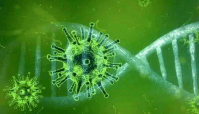 俄罗斯新冠病毒起源研究分析综述