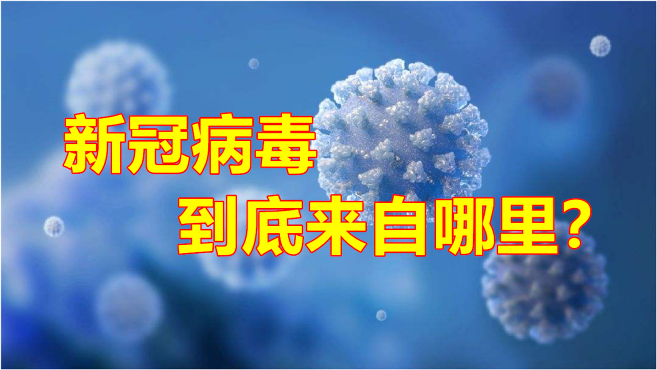天津新冠病毒疫情最早应对纪实，抗疫之路的起点