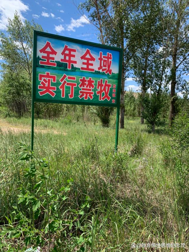 全面禁牧，早期消息及其长远影响分析