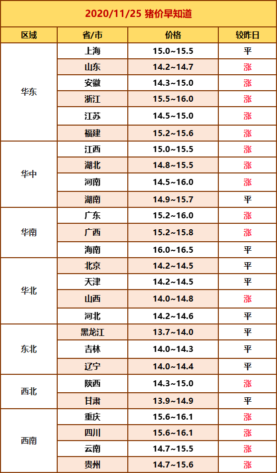 揭秘11月猪价走势，早期趋势分析与预测报告出炉