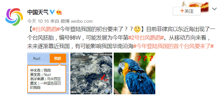 二号台风鹦鹉的早期动态观察与分析