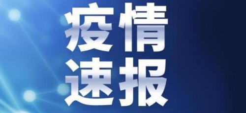2025年4月11日 第20页