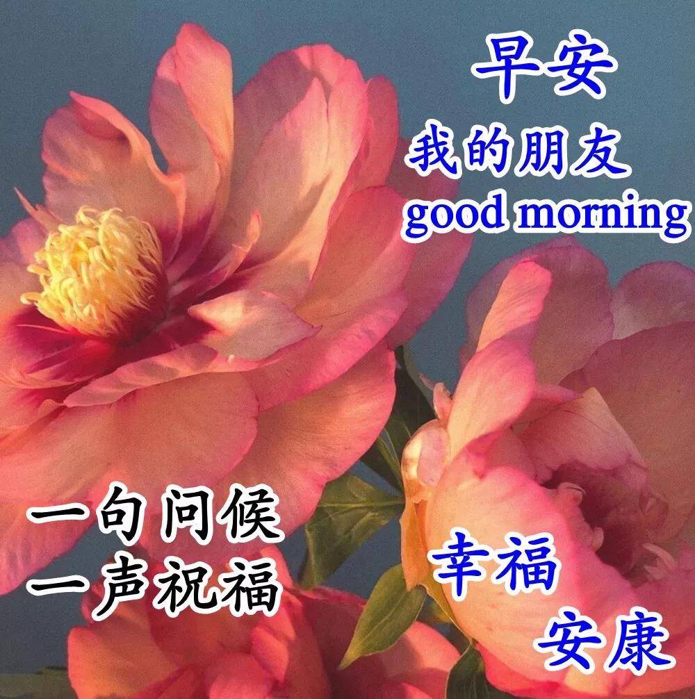 图库中的珍宝，最早照片的故事揭秘