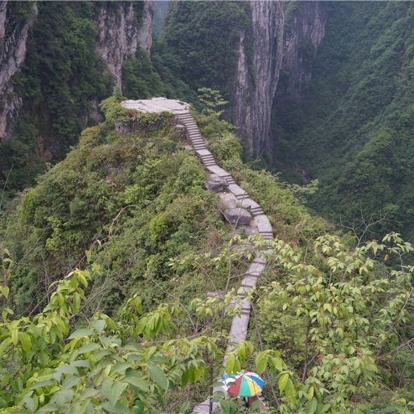 矮寨奇观旅游区，揭秘历史脉络与独特魅力之旅