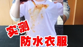 探索影视理论起源与宣发艺术，宣宣影视与理论片的先驱研究