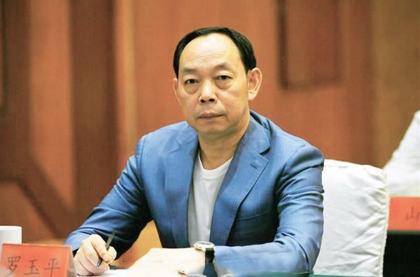 罗玉平最新消息揭秘，揭开未知序幕的真相探索